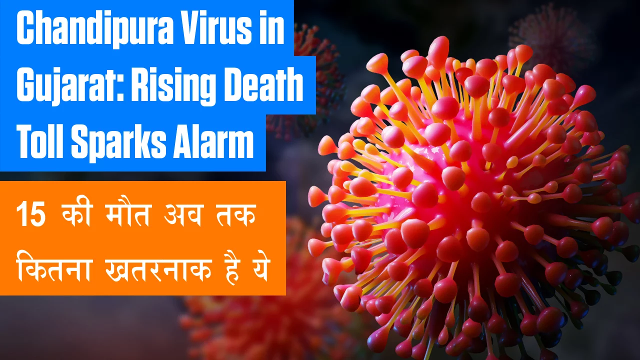 Chandipura virus in Gujarat: Increase in death toll raises concern