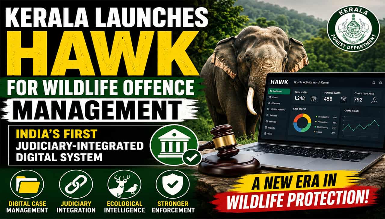 HAWK